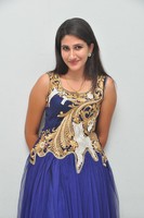 Manisha Gallery